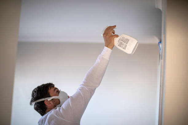 Best Mold Removal Near Me  in Port Angeles, WA