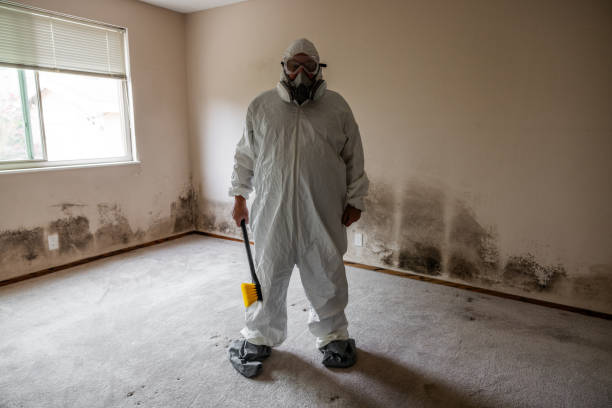 Best Residential Mold Removal  in Port Angeles, WA